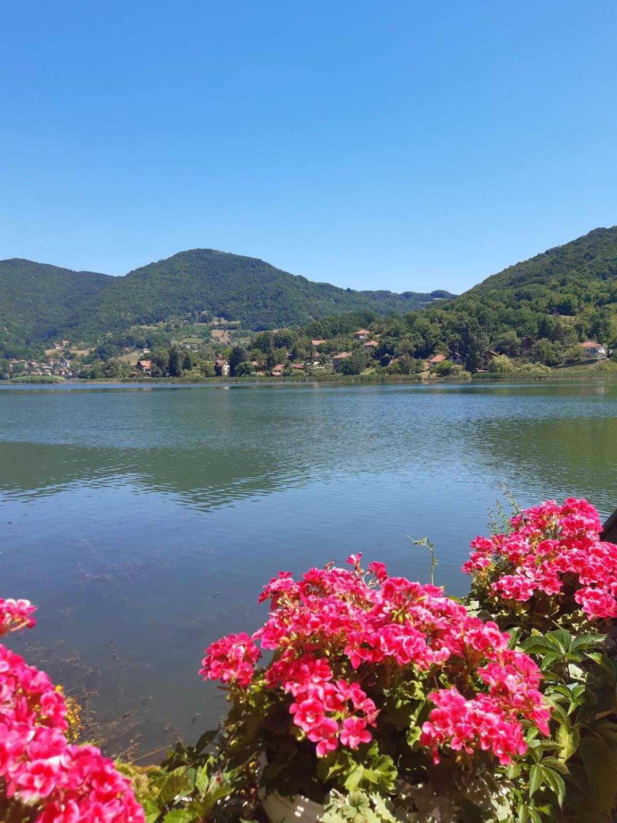 Vila Oaza - Zvornicko Jezero زفورنيك المظهر الخارجي الصورة